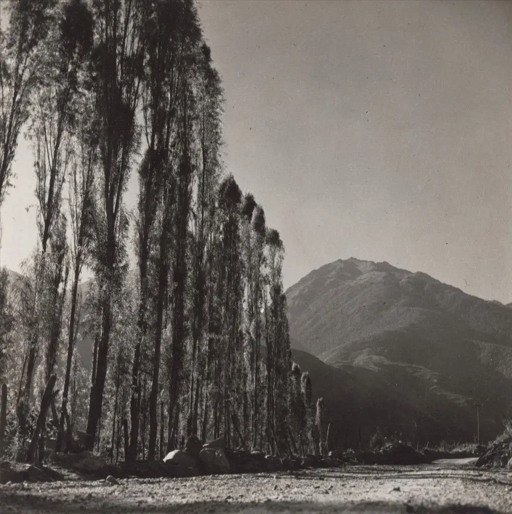 Road to Timotes by Alfredo Boulton