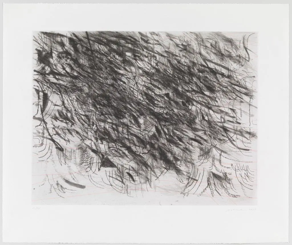 Algorithms, Apparitions and Translations by Julie Mehretu