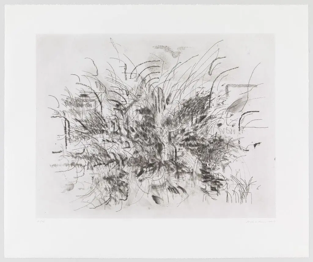 Untitled from Algorithms, Apparitions and Translations by Julie Mehretu