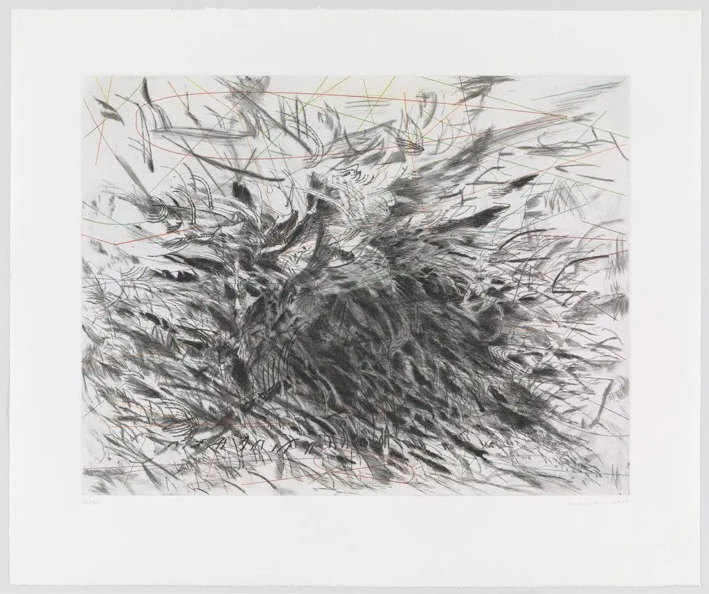 Untitled from Algorithms, Apparitions and Translations by Julie Mehretu