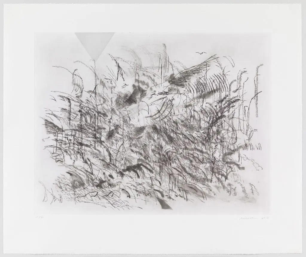 Untitled from Algorithms, Apparitions and Translations by Julie Mehretu