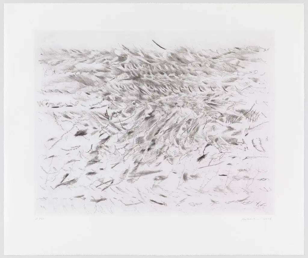 Untitled from Algorithms, Apparitions and Translations by Julie Mehretu