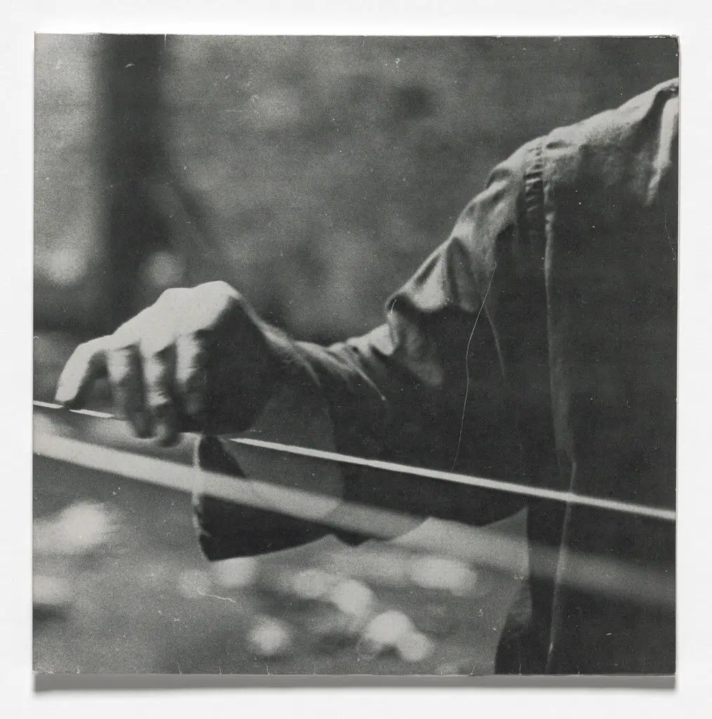 Linkage by Terry Fox