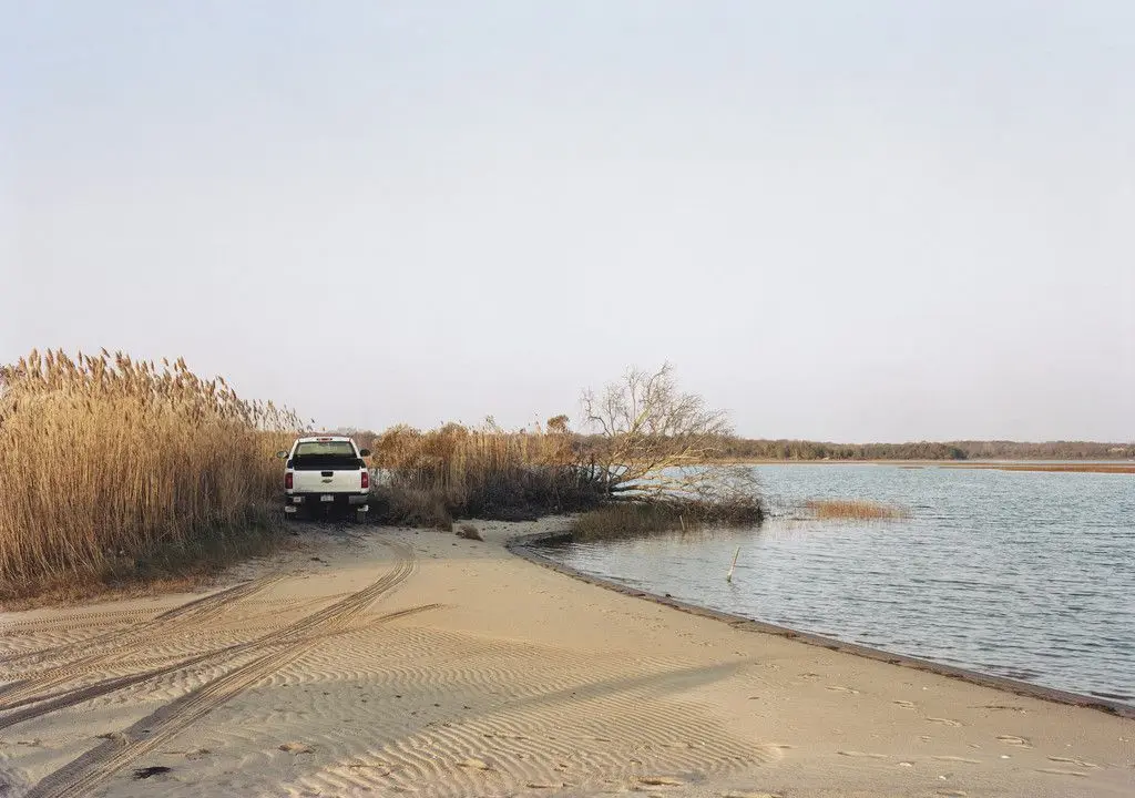 Louse Point by Adam Bartos