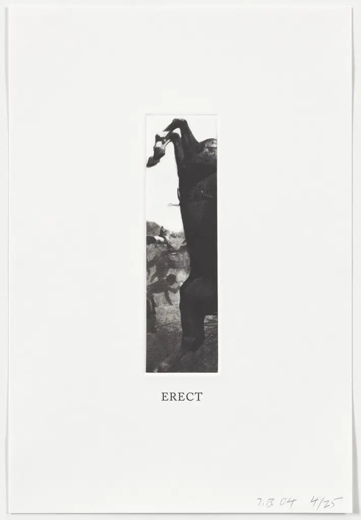 Erect from Some Narrow Views: (Either Tall or Wide) by John Baldessari