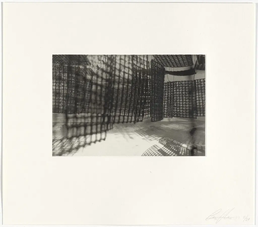 Untitled from Hanging Corridors by Cristina Iglesias