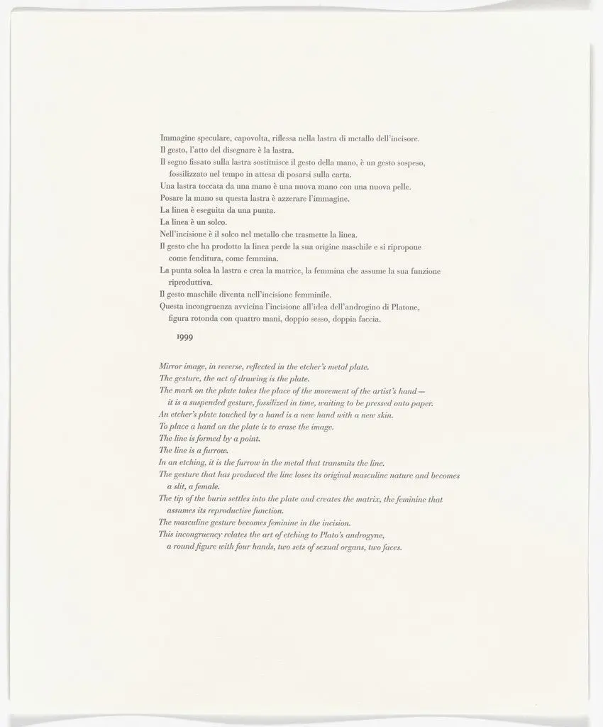 Untitled from Passi Sulle Cime Dei Gelsi (Footsteps on Mulberry Tree Tops) by Giuseppe Penone