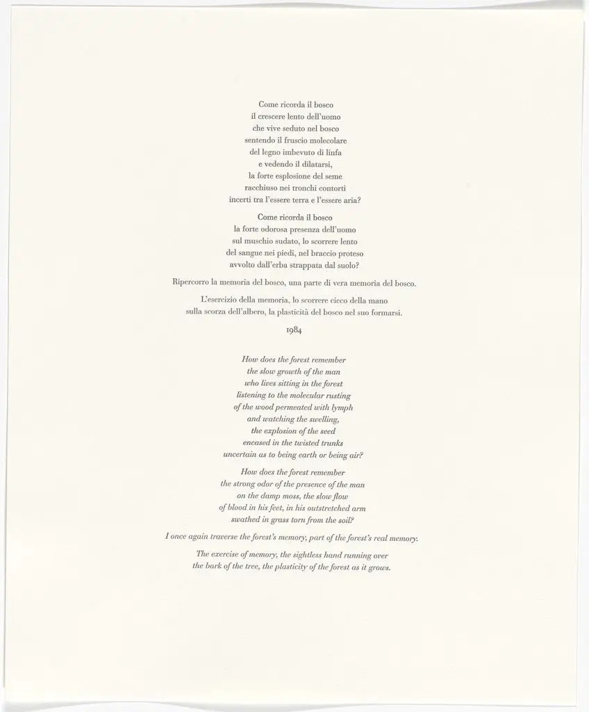 Untitled from Passi Sulle Cime Dei Gelsi (Footsteps on Mulberry Tree Tops) by Giuseppe Penone