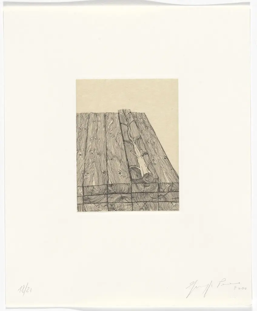 Untitled from Passi Sulle Cime Dei Gelsi (Footsteps on Mulberry Tree Tops) by Giuseppe Penone