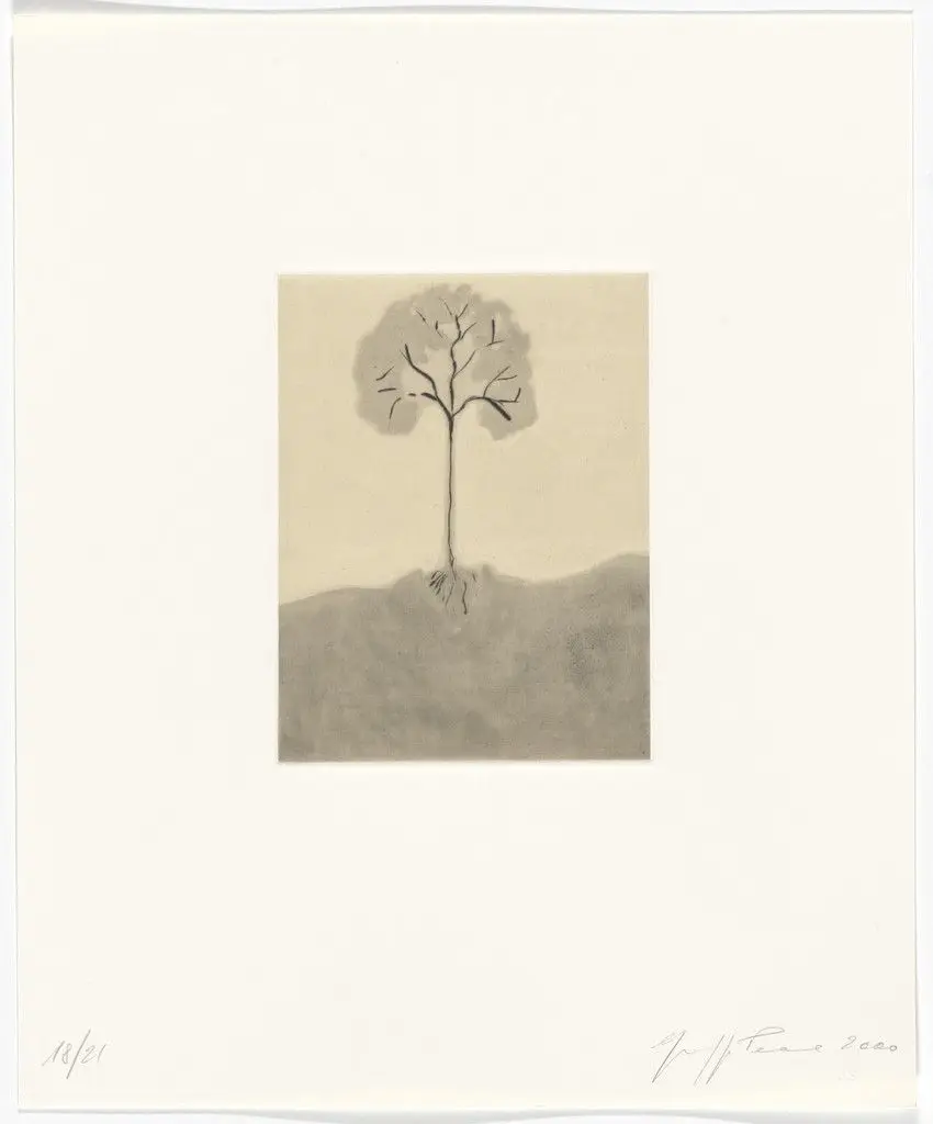 Untitled from Passi Sulle Cime Dei Gelsi (Footsteps on Mulberry Tree Tops) by Giuseppe Penone