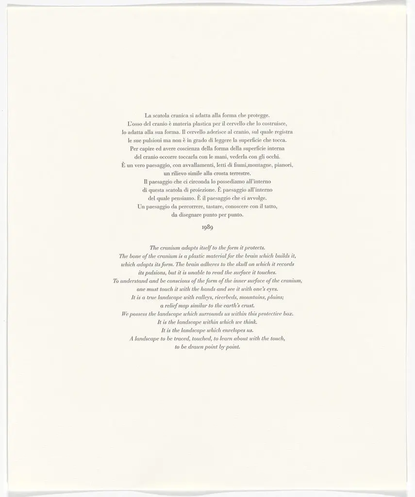 Untitled from Passi Sulle Cime Dei Gelsi (Footsteps on Mulberry Tree Tops) by Giuseppe Penone