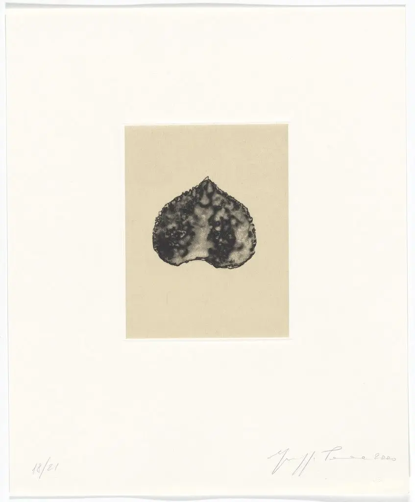 Untitled from Passi Sulle Cime Dei Gelsi (Footsteps on Mulberry Tree Tops) by Giuseppe Penone