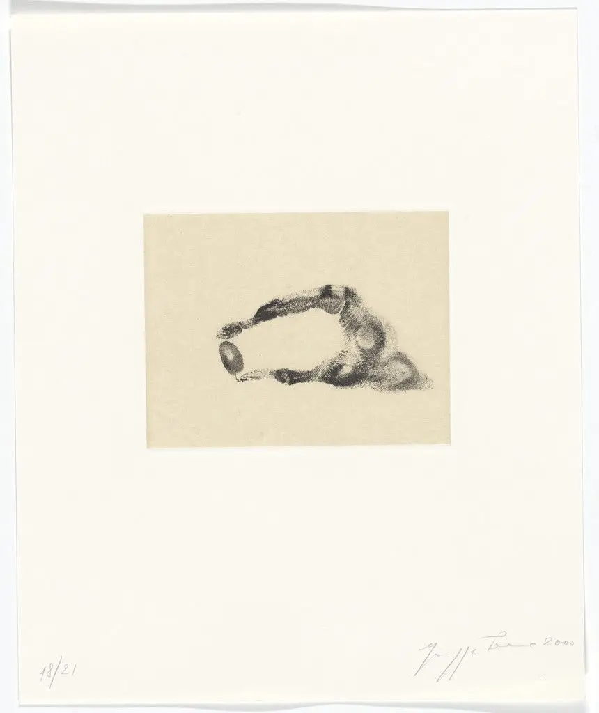 Untitled from Passi Sulle Cime Dei Gelsi (Footsteps on Mulberry Tree Tops) by Giuseppe Penone