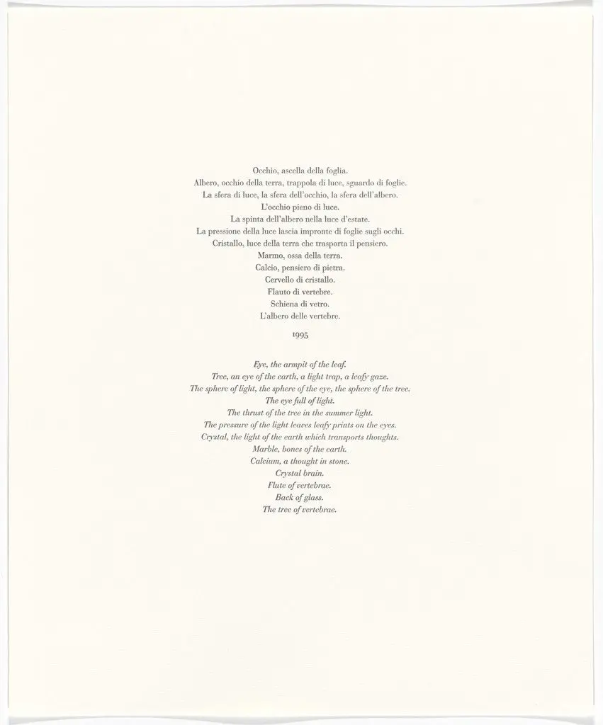 Untitled from Passi Sulle Cime Dei Gelsi (Footsteps on Mulberry Tree Tops) by Giuseppe Penone