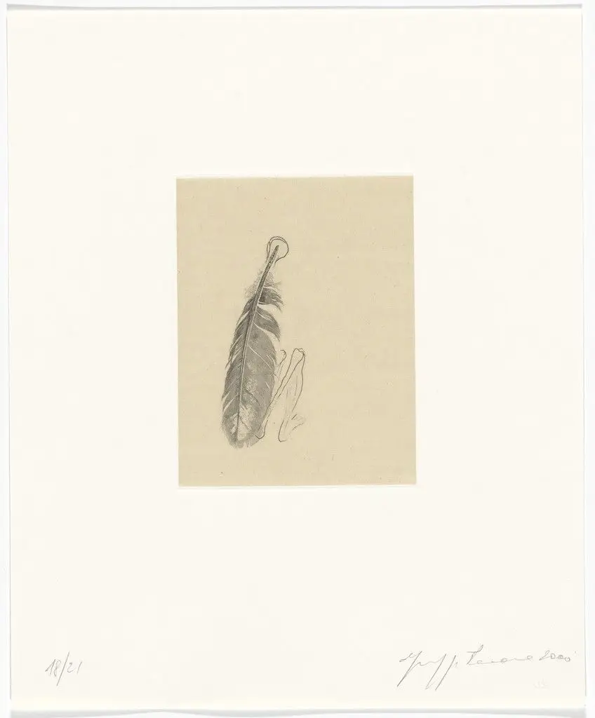Untitled from Passi Sulle Cime Dei Gelsi (Footsteps on Mulberry Tree Tops) by Giuseppe Penone