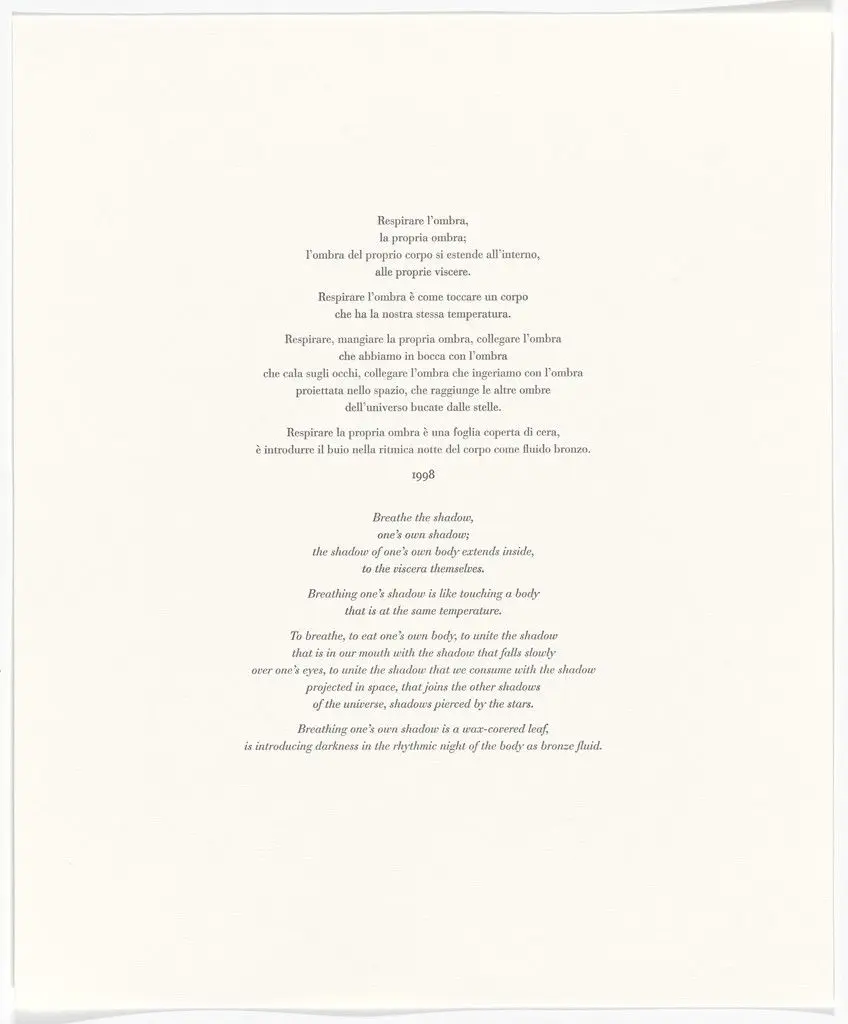 Untitled from Passi Sulle Cime Dei Gelsi (Footsteps on Mulberry Tree Tops) by Giuseppe Penone