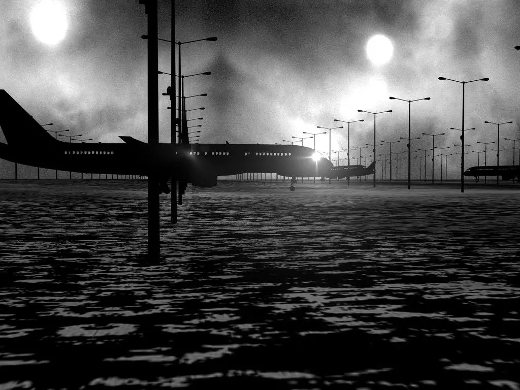 Manimal by Carlos Amorales