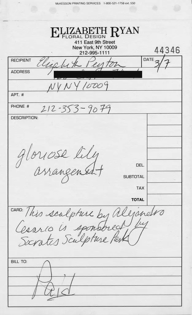 Flowers I-X by Alejandro Cesarco