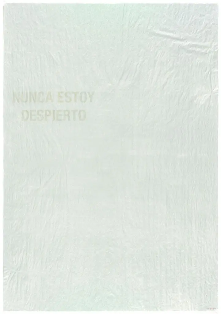 Untitled Diptych (I Am Never Awake. September 24–26) (Nunca estoy despierto. 24–26 de sept) by Bernardo Ortiz Campo