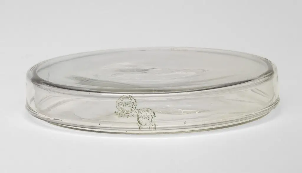 Covered Petri Dish by Corning Glass Works, Corning, NY