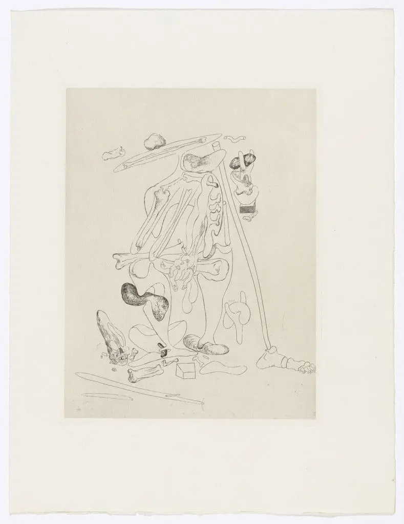 Plate (facing page 46) from Les Chants de Maldoror (The Songs of Maldoror) by Salvador Dalí