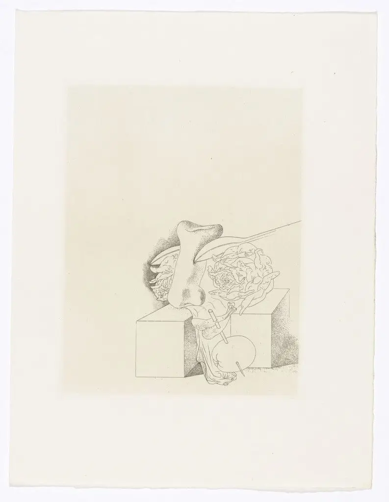 Plate (facing page 138) from Les Chants de Maldoror (The Songs of Maldoror) by Salvador Dalí