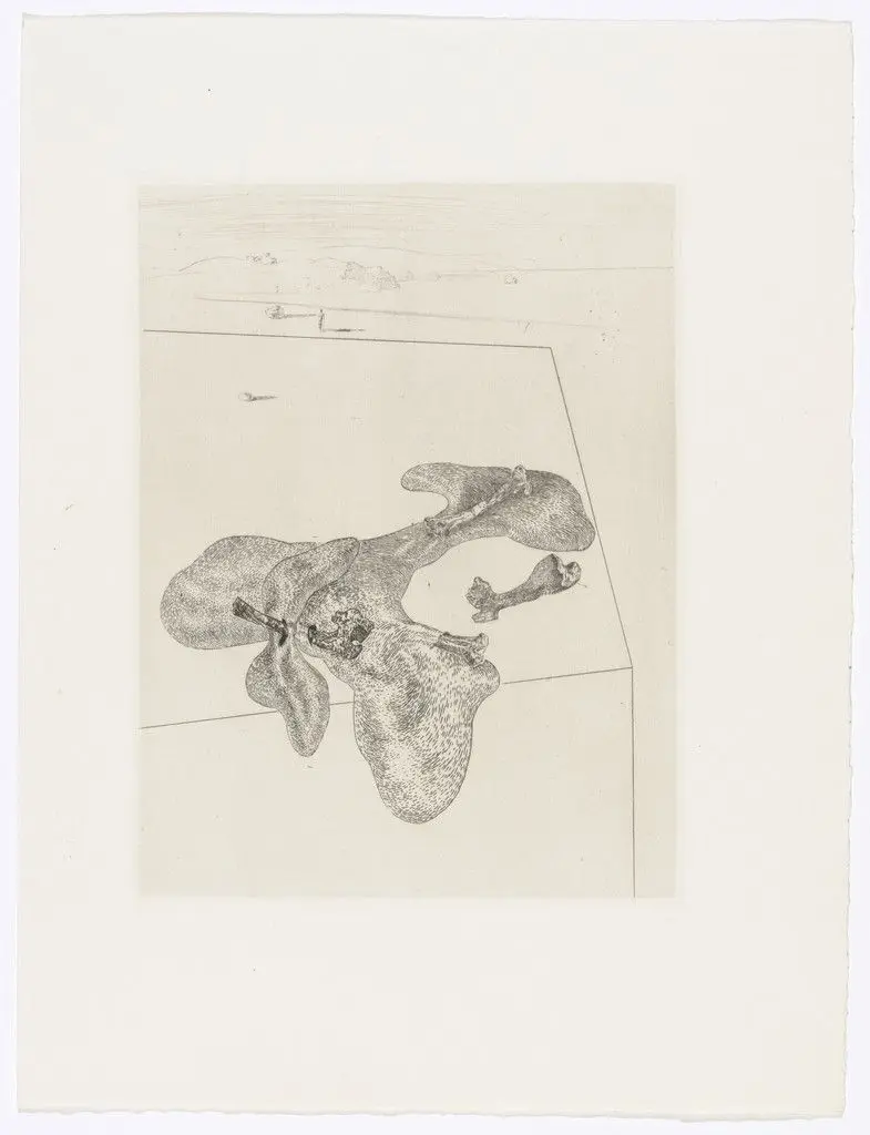 Plate (facing page 152) from Les Chants de Maldoror (The Songs of Maldoror) by Salvador Dalí