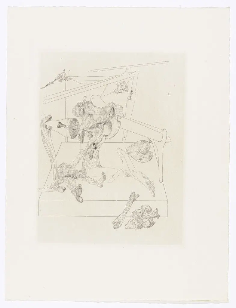 Plate (facing page 184) from Les Chants de Maldoror (The Songs of Maldoror) by Salvador Dalí