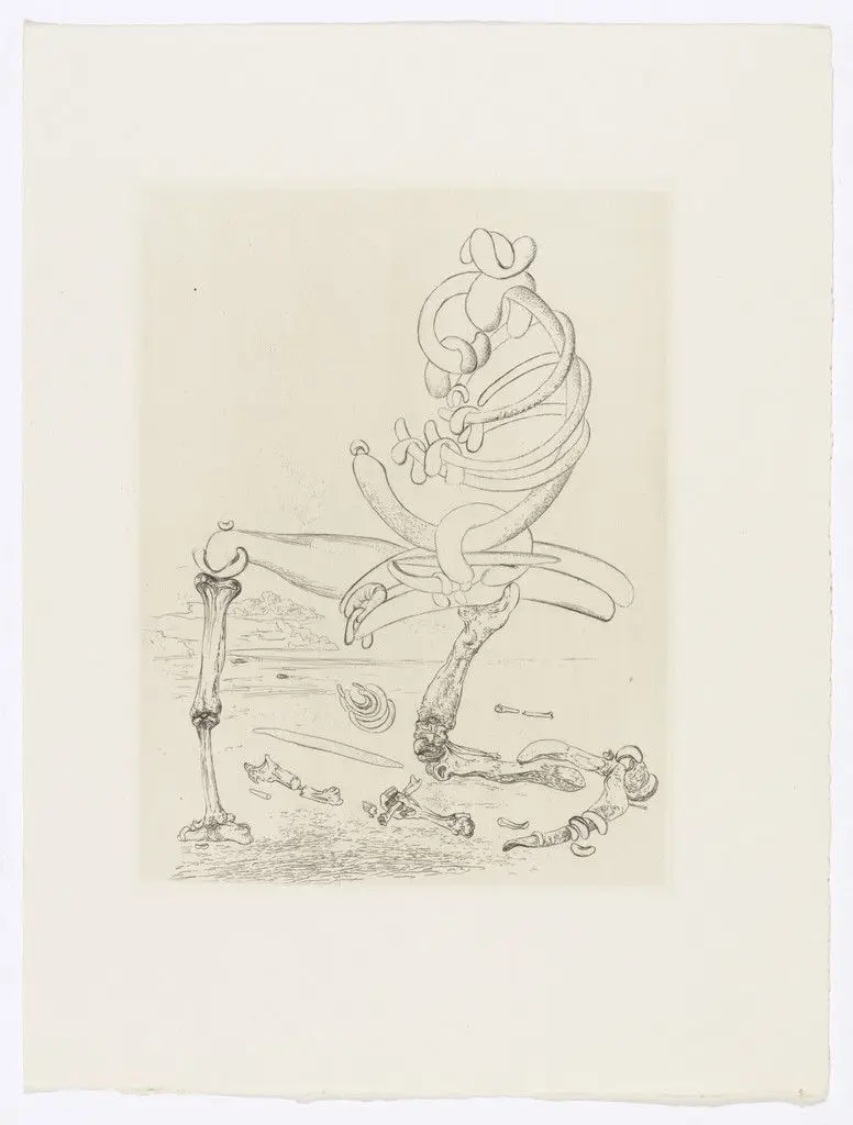 Plate (facing page 22) from Les Chants de Maldoror (The Songs of Maldoror) by Salvador Dalí