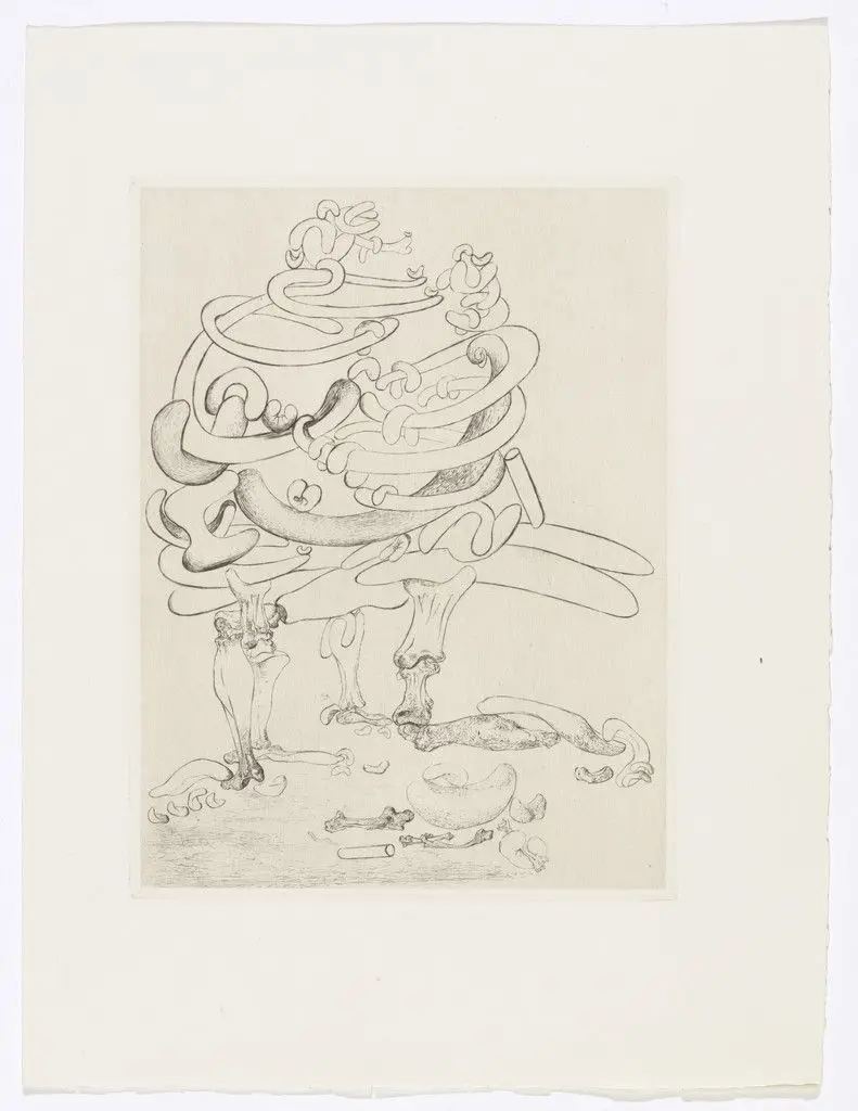 Plate (facing page 40) from Les Chants de Maldoror (The Songs of Maldoror) by Salvador Dalí
