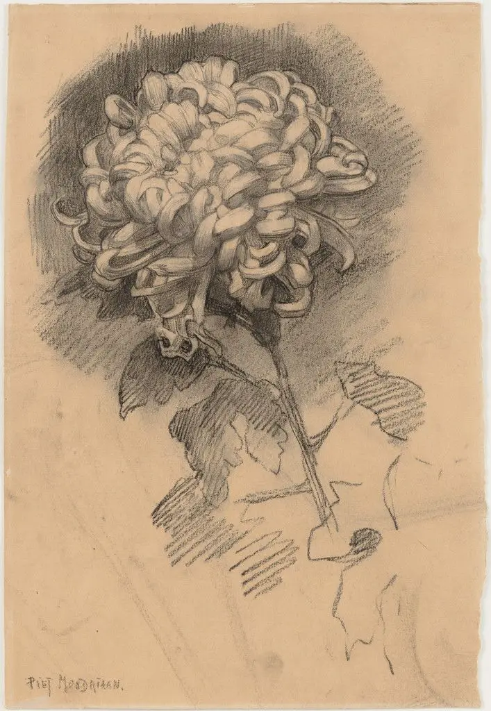 Chrysanthemum (recto) and Head in Profile (verso) by Piet Mondrian