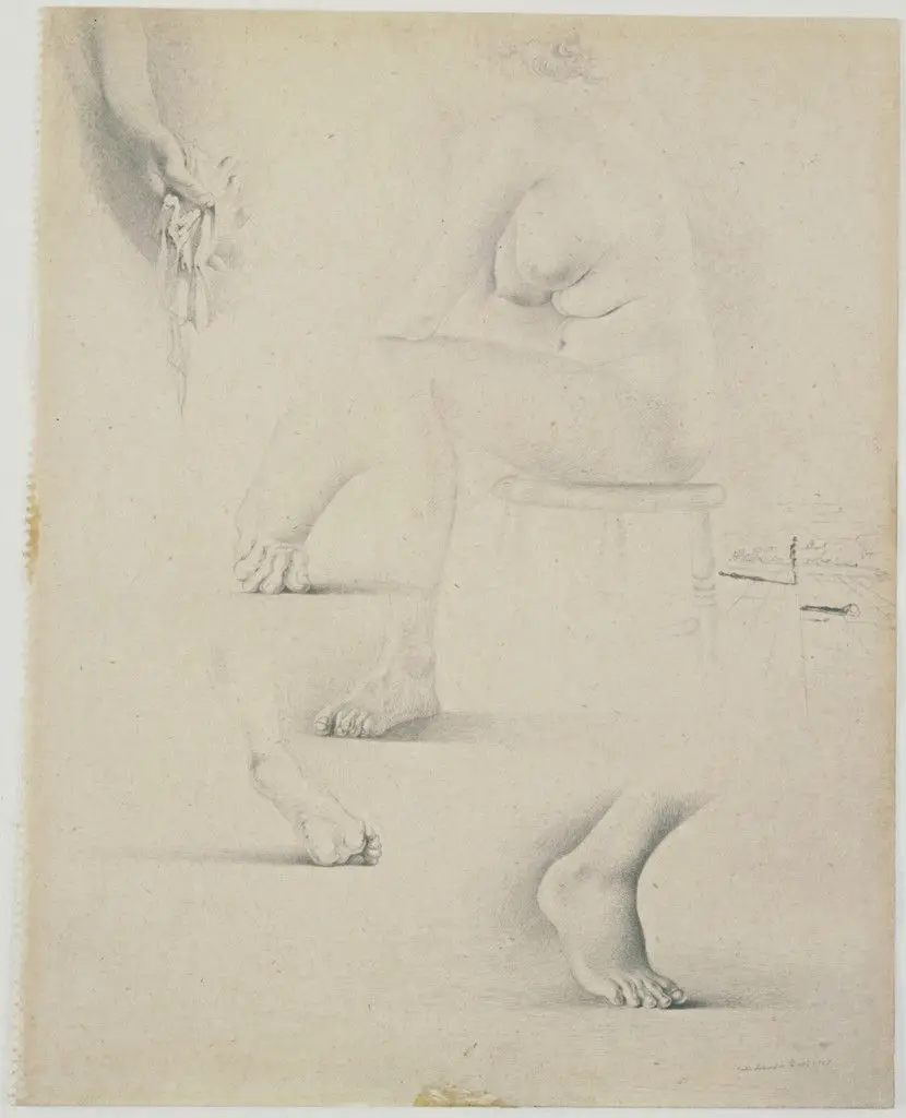 Studies of a Nude by Salvador Dalí