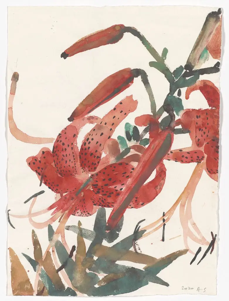 Untitled (Daylily) by Amy Sillman