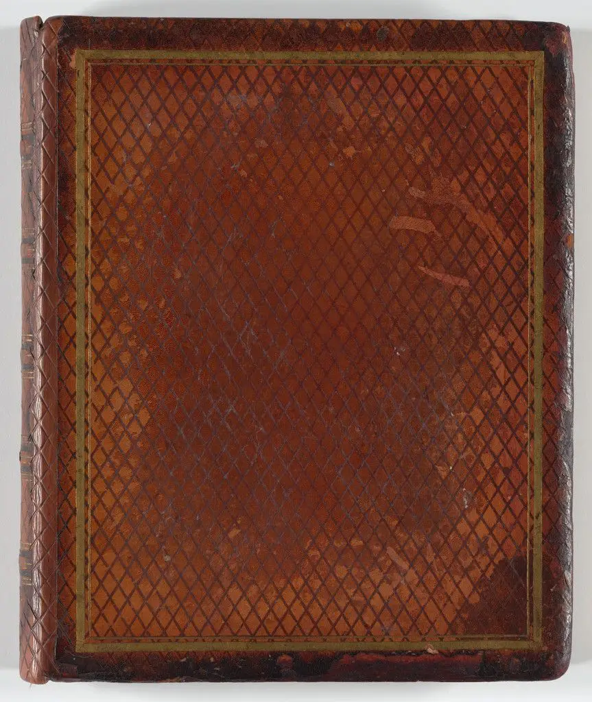 The Johnstone Album by Agnes Caroline Chamberlayne Johnstone