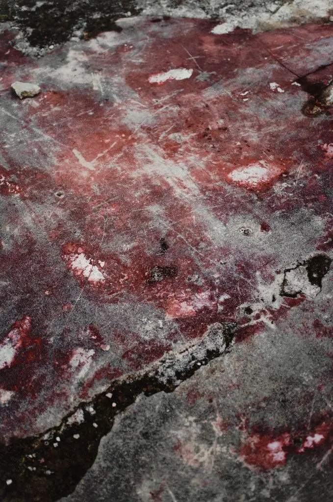 Stone Bloom by Elle Pérez