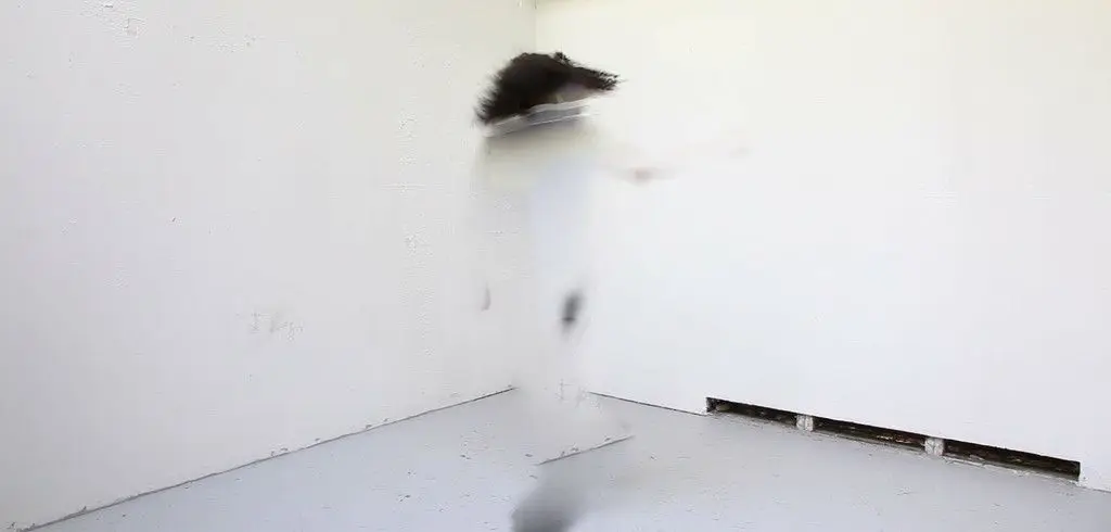 Double Quadruple Etcetera Etcetera I & II by Sondra Perry