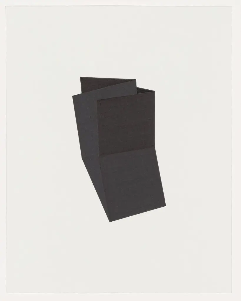 Untitled (Black Folds III) by Iran do Espirito Santo