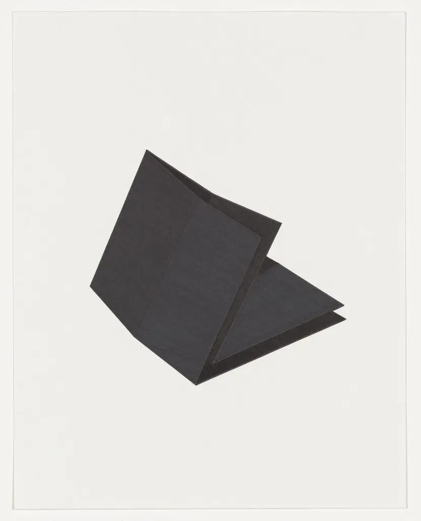 Untitled (Black Folds XI) by Iran do Espirito Santo