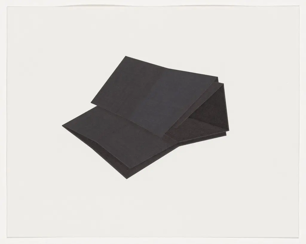 Untitled (Black Folds XV) by Iran do Espirito Santo