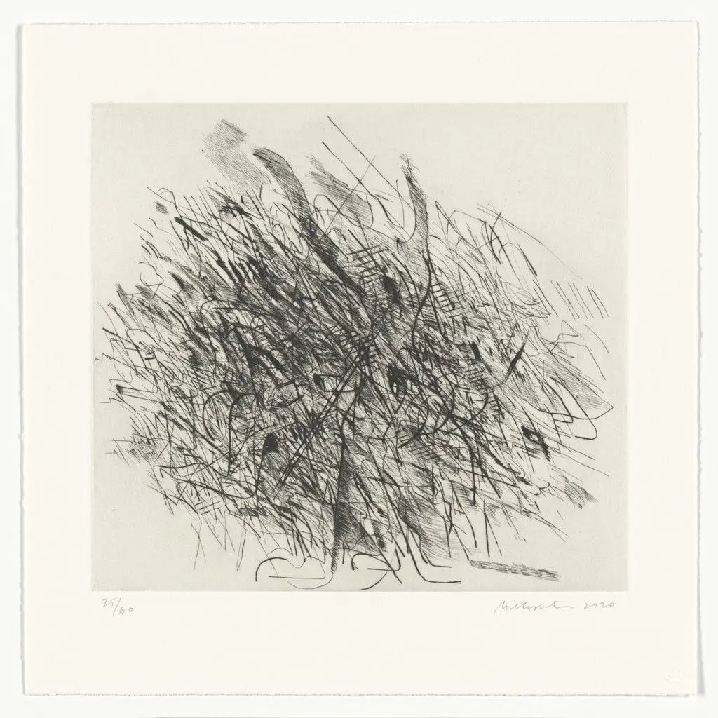 Arms from the portfolio The Met 150 by Julie Mehretu