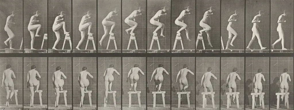 Woman Stepping on and over a Trestle: Plate 178 from Animal Locomotion (1887) by Eadweard J. Muybridge