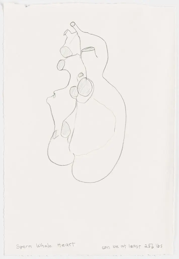 Whale heart drawing by Joan Jonas