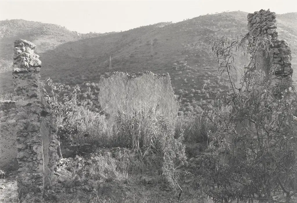 Montelepre, Sicily by Thomas Roma