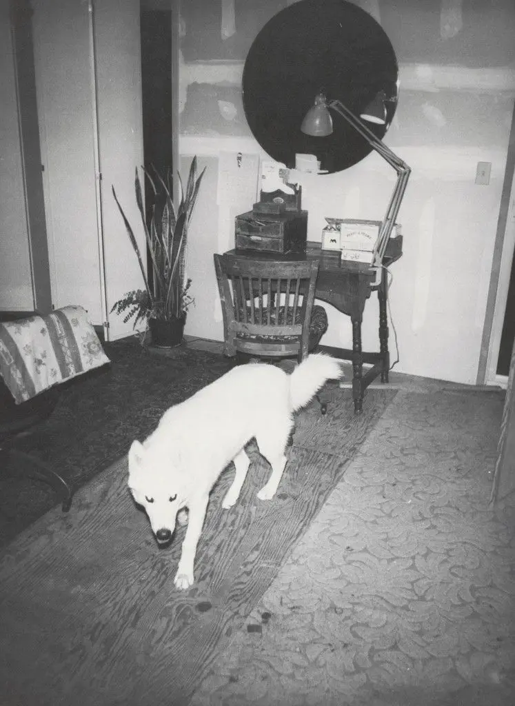 Honey in Basement by Bill Arnold