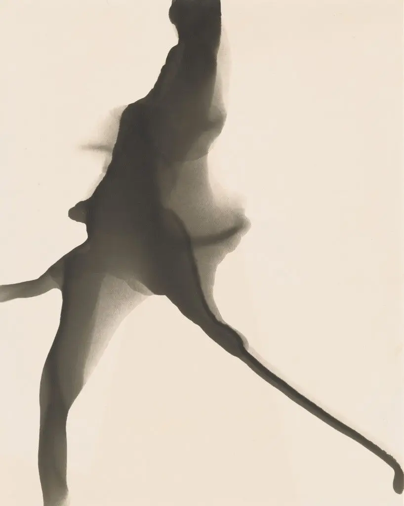 Untitled (Salvador Dalí's Birthday Party) by Jay DeFeo