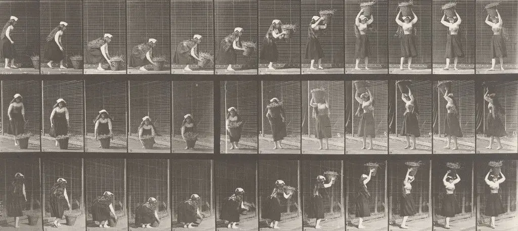 Woman Lifting a 30-lb. Basket from Ground to Head and Turning: Plate 230 from Animal Locomotion (1887) by Eadweard J. Muybridge
