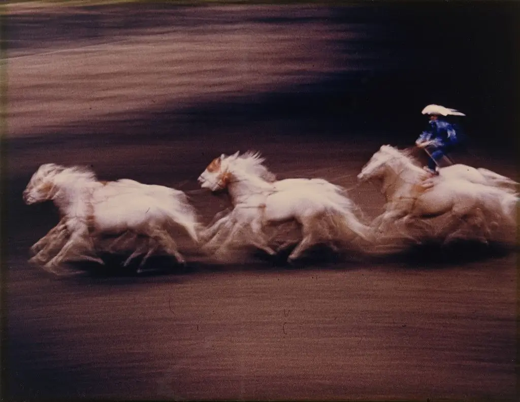 White Horses by Ernst Haas