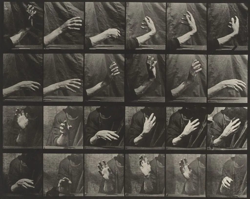 Movement of the Hand, Beating Time: Plate 535 from Animal Locomotion by Eadweard J. Muybridge