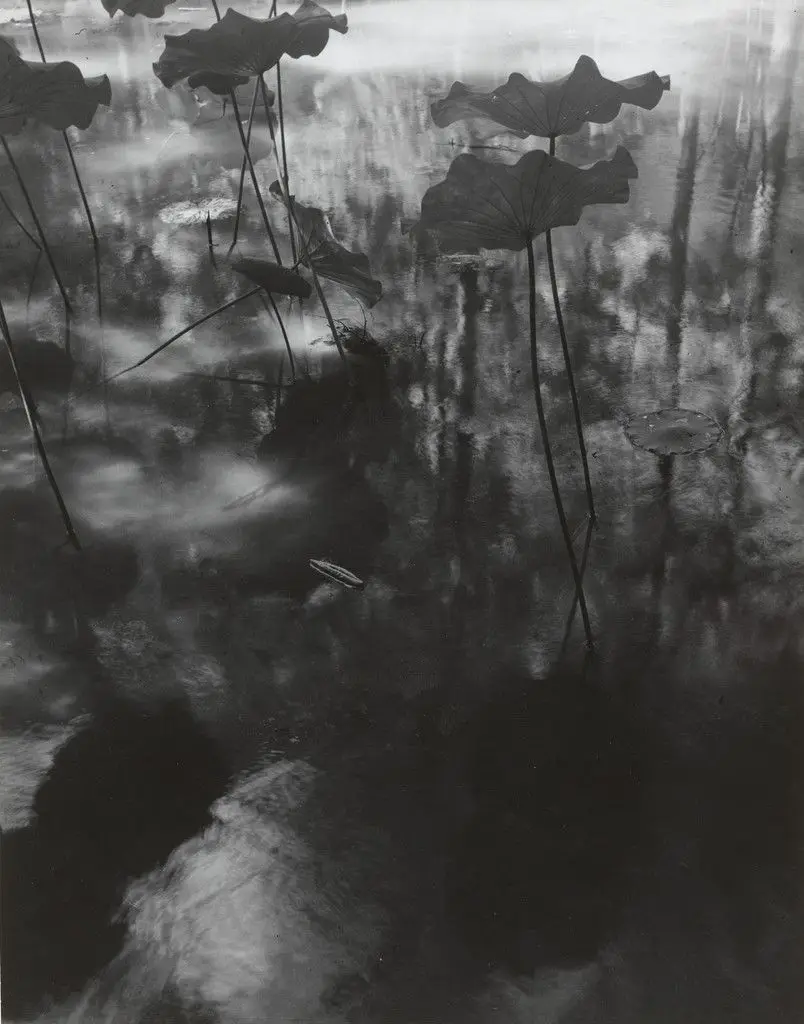 Lotus Pond, Kyoto by Ihei Kimura