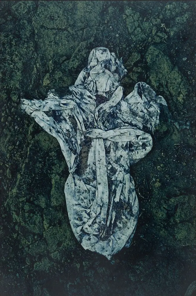 Untitled by Ernst Haas